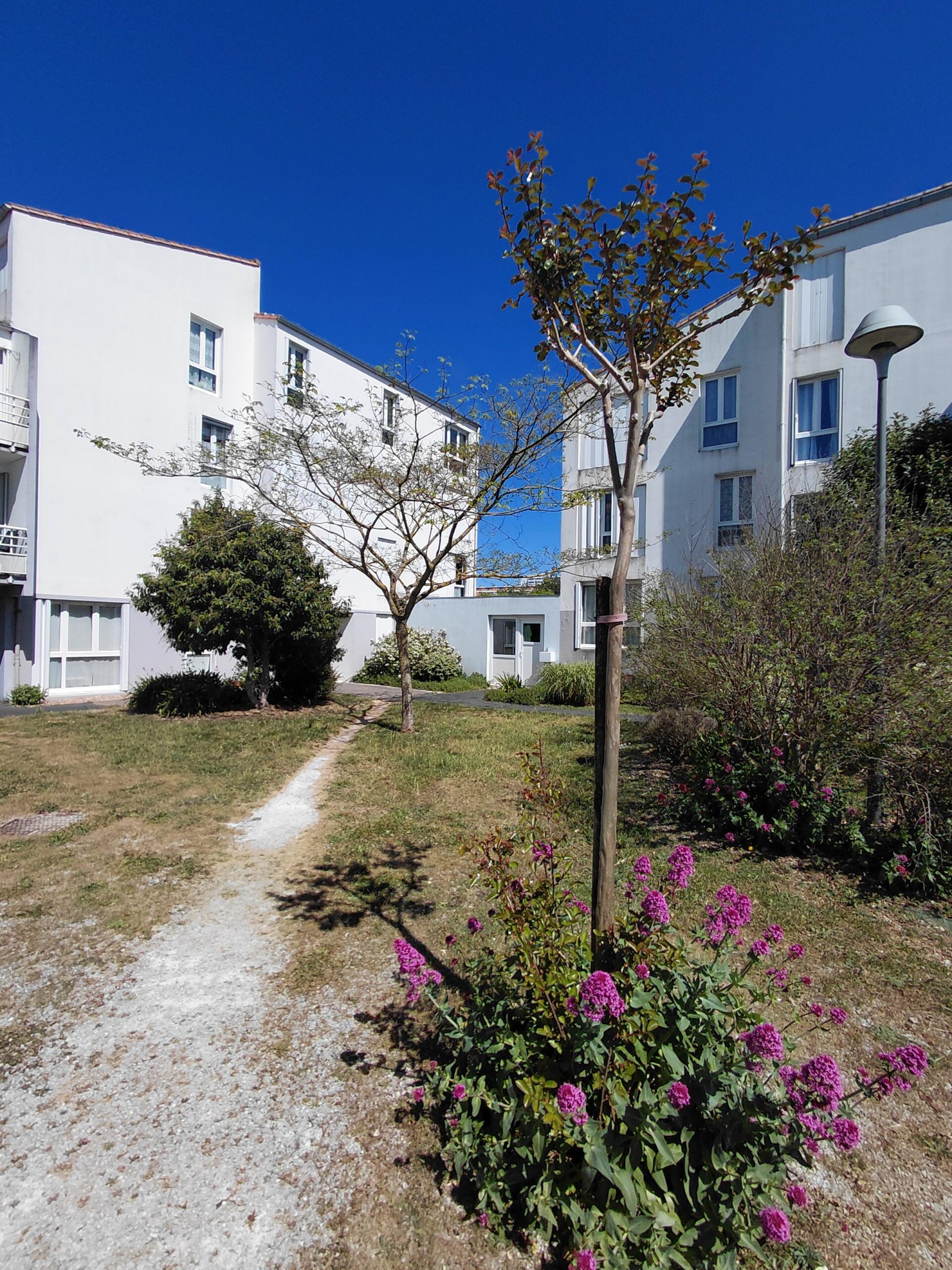 LA ROSSIGNOLETTE - 262 AVENUE CARNOT - LA ROCHELLE - APPARTEMENT LOGT 5 - T3 - 1er ETAGE